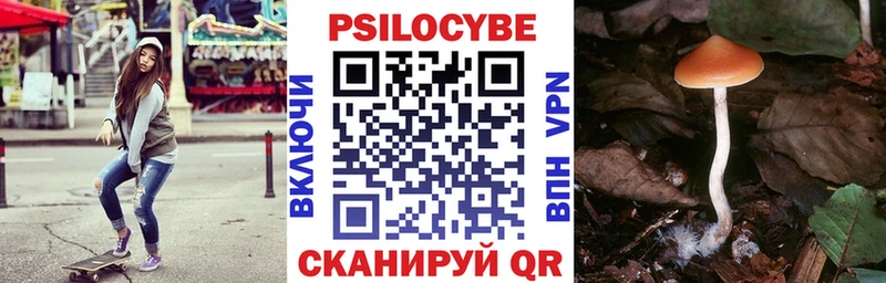 где найти наркотики  Новотроицк  Галлюциногенные грибы Cubensis 