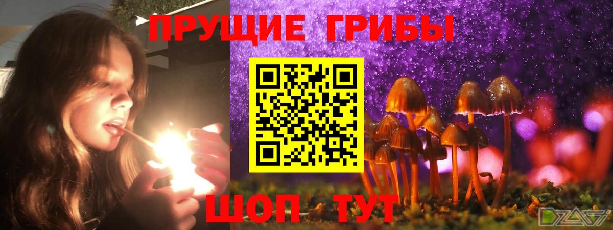 Новотроицк  Псилоцибиновые грибы GOLDEN TEACHER  Вход с VPN 